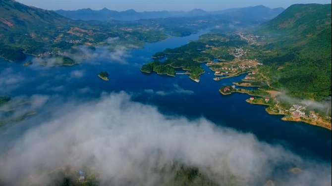 1552188415639_623_785x440 1552188415639_623_785x440