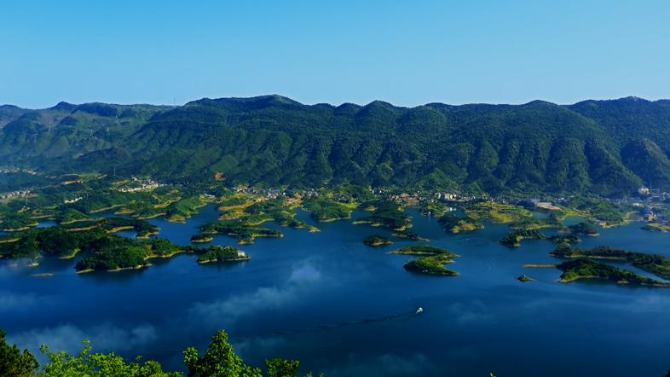 1552188399027_429_786x442 1552188399027_429_786x442