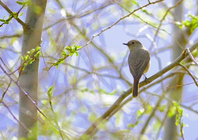 这个奇迹，让全世界叹为观止！