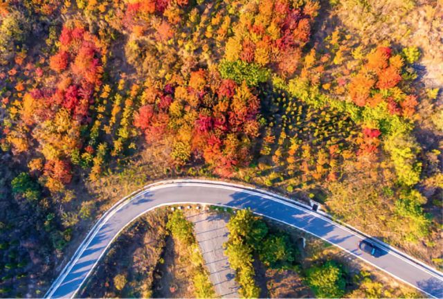 这个奇迹，让全世界叹为观止！