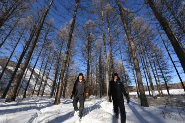 这个奇迹，让全世界叹为观止！