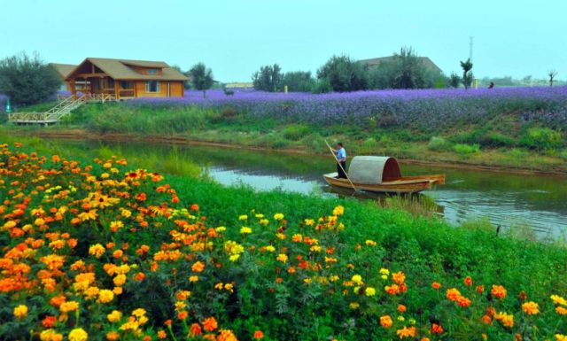 这个奇迹，让全世界叹为观止！