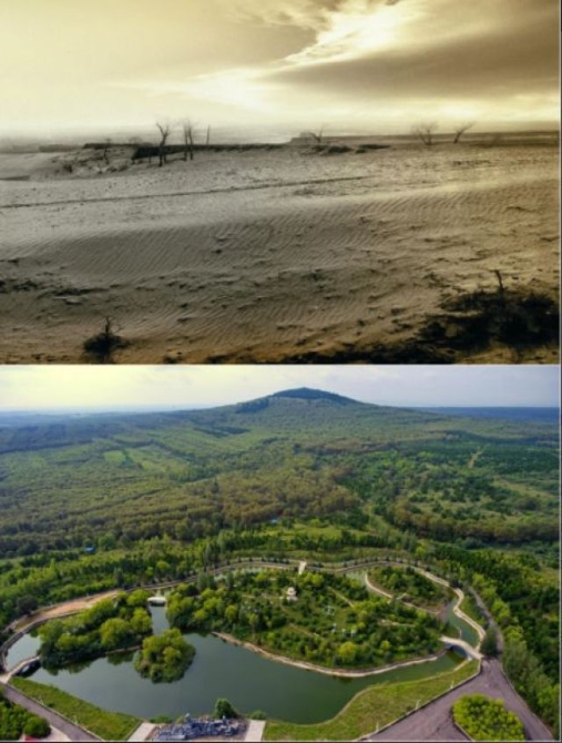 这个奇迹，让全世界叹为观止！