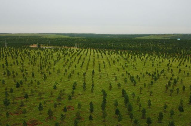 这个奇迹，让全世界叹为观止！
