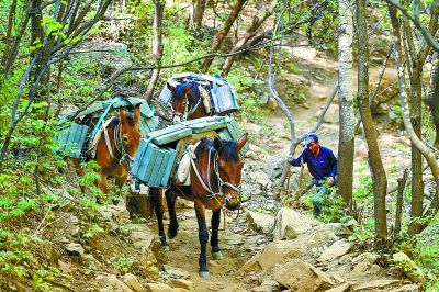 箭扣长城修复工程即将再启动 未来三年修17座敌台敌楼