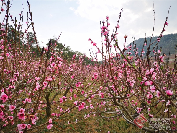 00300475167_5d061b7f (1) 00300475167_5d061b7f (1)