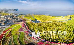 88931552845536002 88931552845536002