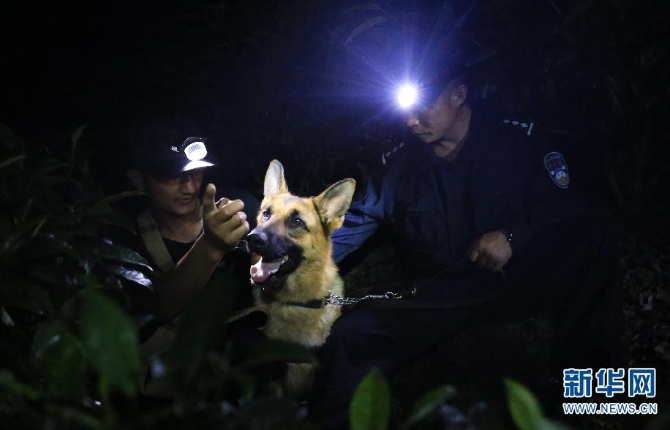 惊奇!全国首只克隆警犬诞生 它克隆的是一只云南“功勋犬”…
