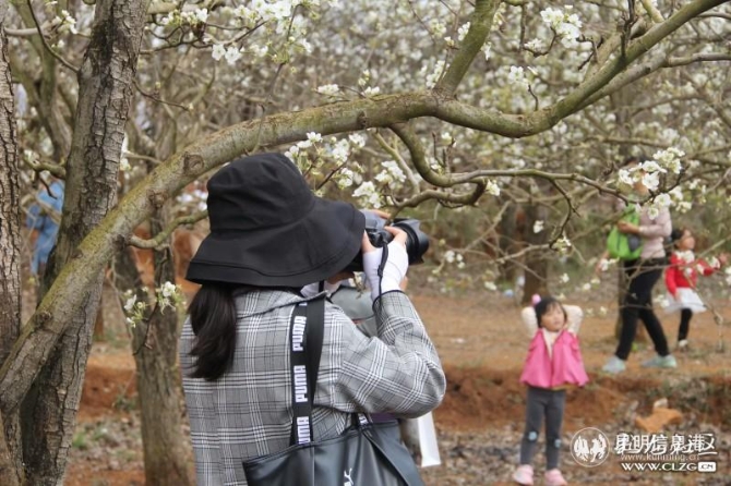 10、每年这个时候,呈贡万溪都能吸引许多摄影爱好者前来拍摄。彩龙社区网友@jiajiahua 摄。 10、每年这个时候,呈贡万溪都能吸引许多摄影爱好者前来拍摄。彩龙社区网友@jiajiahua 摄。