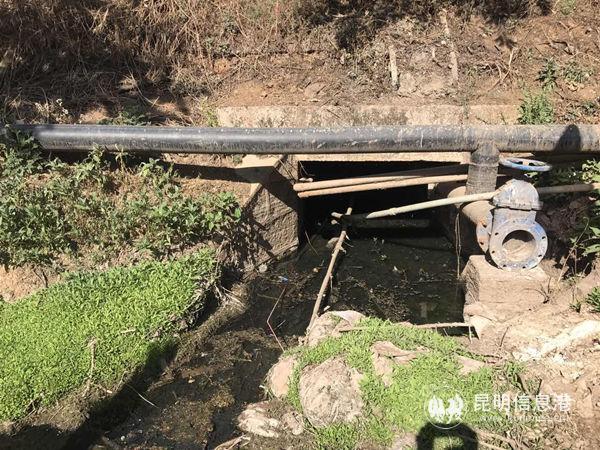 mmexport1553842759747 mmexport1553842759747