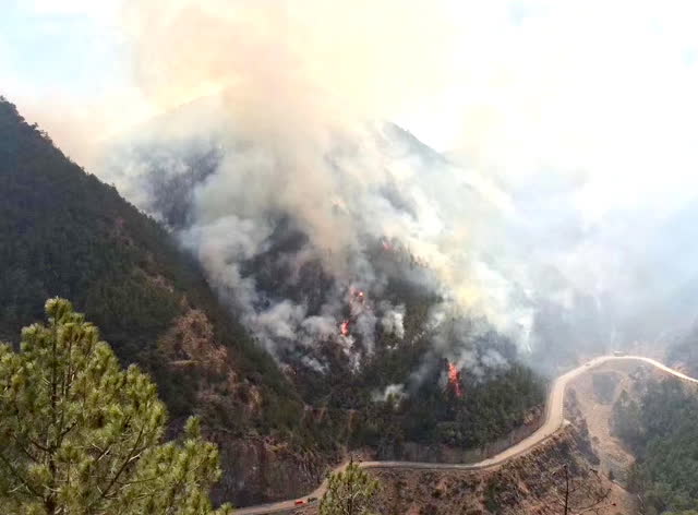 玉龙奉科山火基本控制 距丽江城区约200公里未对当地旅游影响 (1)