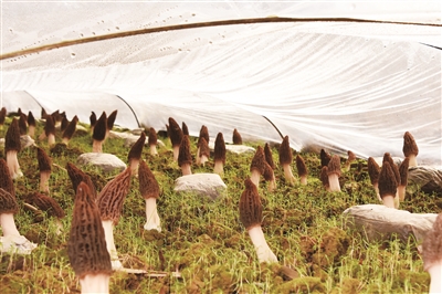 00300439710_577a1f21 00300439710_577a1f21