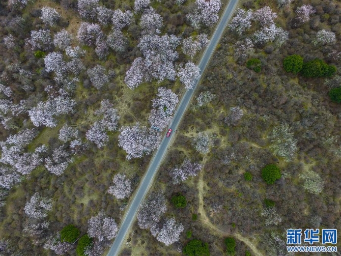 （西藏民主改革60周年）（7）路见西藏