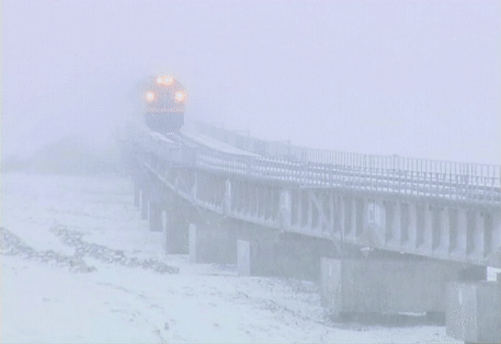 你在江南看花，我在“狼窝”斗雪