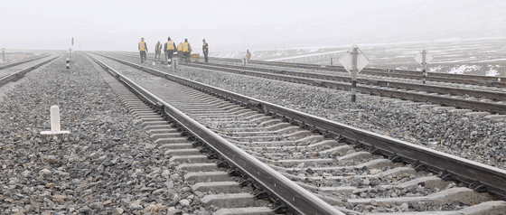 你在江南看花，我在“狼窝”斗雪