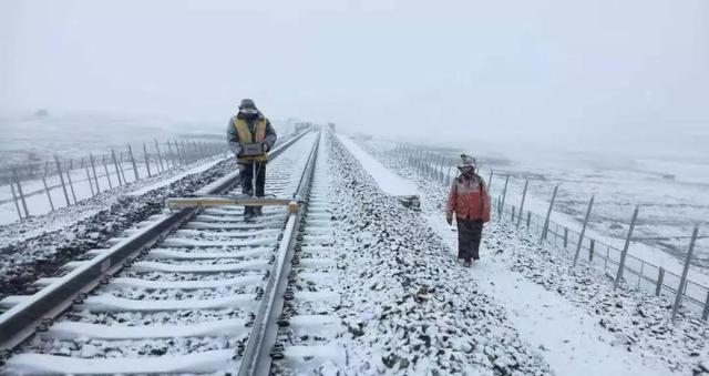 你在江南看花，我在“狼窝”斗雪