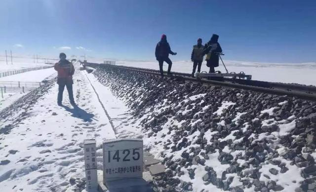你在江南看花，我在“狼窝”斗雪
