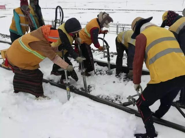 你在江南看花，我在“狼窝”斗雪