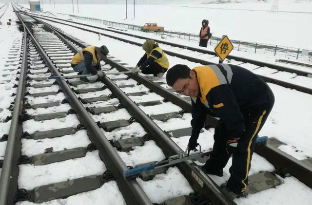 你在江南看花，我在“狼窝”斗雪