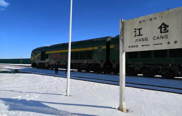 你在江南看花，我在“狼窝”斗雪