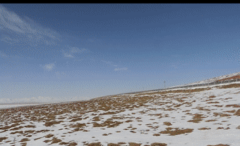 你在江南看花，我在“狼窝”斗雪