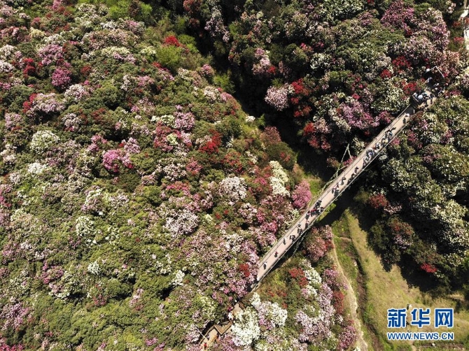 1210101873_15546407378181n 1210101873_15546407378181n