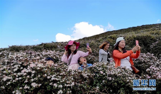 1210101873_15546407378631n 1210101873_15546407378631n