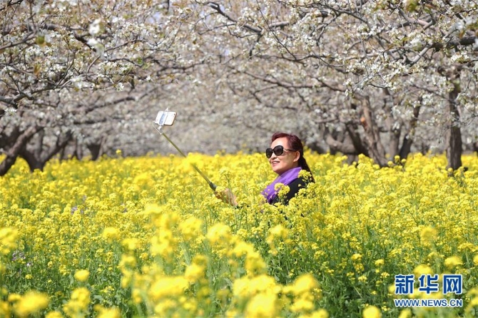 1210101873_15546407379541n 1210101873_15546407379541n