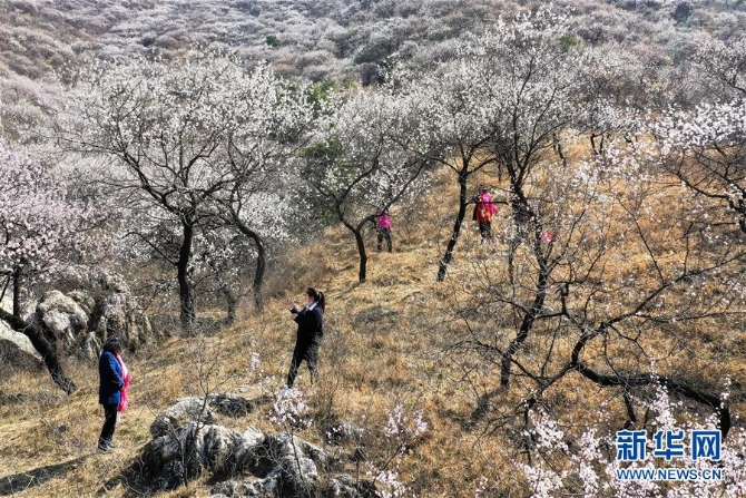 1210101873_15546407379871n 1210101873_15546407379871n