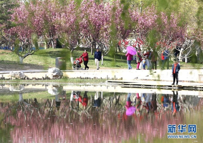 1210101873_15546407380261n 1210101873_15546407380261n