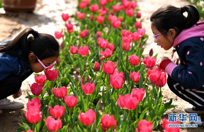 1210101873_15546422530791n 1210101873_15546422530791n