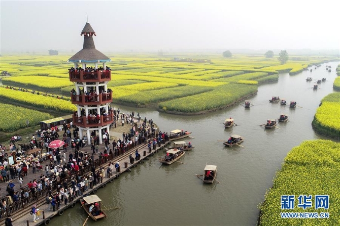 1210101873_15546422530811n 1210101873_15546422530811n