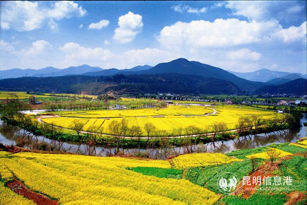 金色螳川-田忠