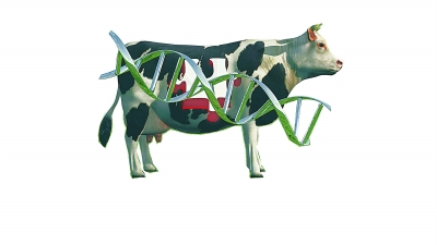 “人造肉”能替代传统肉类吗?