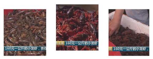 全民出动，远赴云南抢小龙虾！160元一公斤都挤破头，究竟为虾米？
