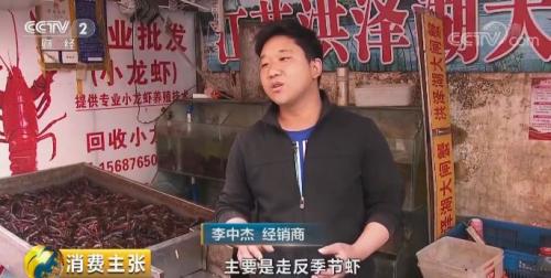 全民出动，远赴云南抢小龙虾！160元一公斤都挤破头，究竟为虾米？