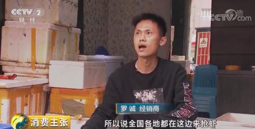 全民出动，远赴云南抢小龙虾！160元一公斤都挤破头，究竟为虾米？