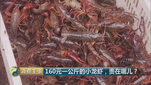 全民出动，远赴云南抢小龙虾！160元一公斤都挤破头，究竟为虾米？