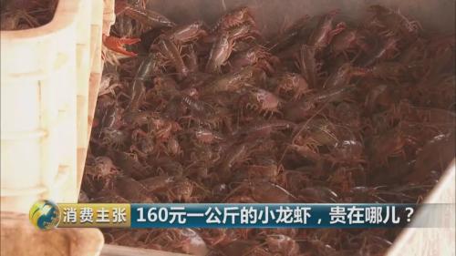 全民出动，远赴云南抢小龙虾！160元一公斤都挤破头，究竟为虾米？