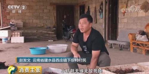 全民出动，远赴云南抢小龙虾！160元一公斤都挤破头，究竟为虾米？