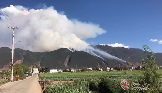 云南鹤庆县辛屯镇发生山火 310人已赶赴火场扑救png