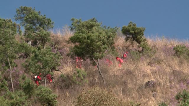 鹤庆火场最新消息