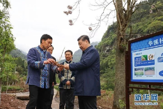 W020190418498619562999 W020190418498619562999