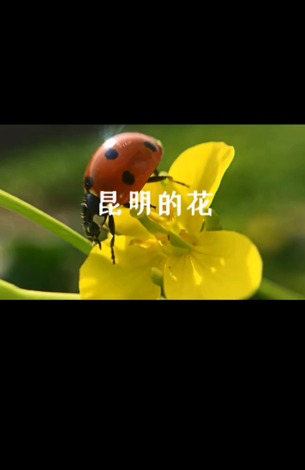 点击查看视频