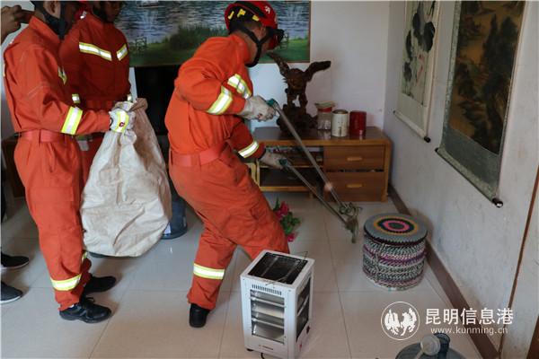 祥云消防帮助居民捕蛇