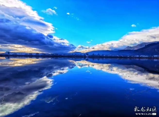彩龙1.webp