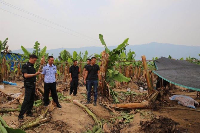 5ccd601e1716d 5ccd601e1716d