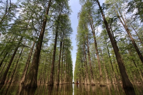 640.webp (2) 640.webp (2)