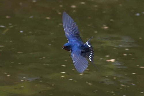 640.webp (3) 640.webp (3)