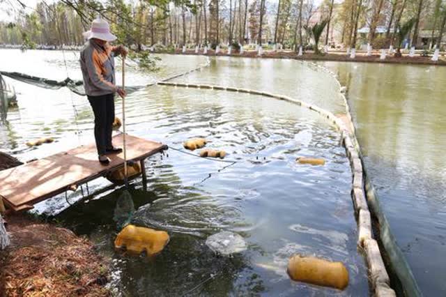 滇池治理多种黑科技打出“组合拳” 高伟摄9